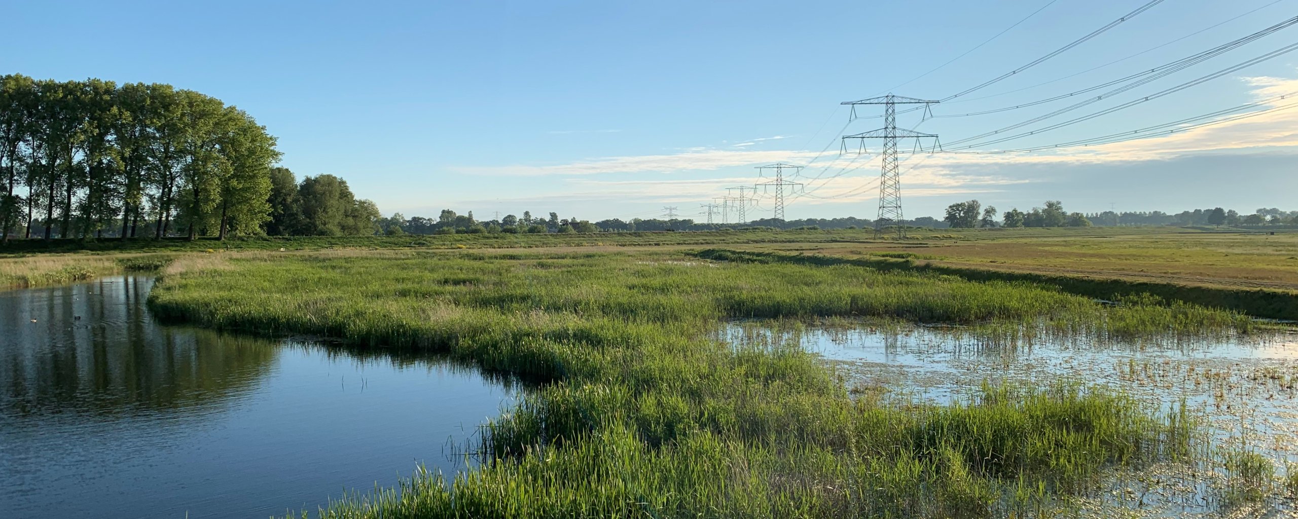 water en groen Nieuwe Dordtse Biesbosch