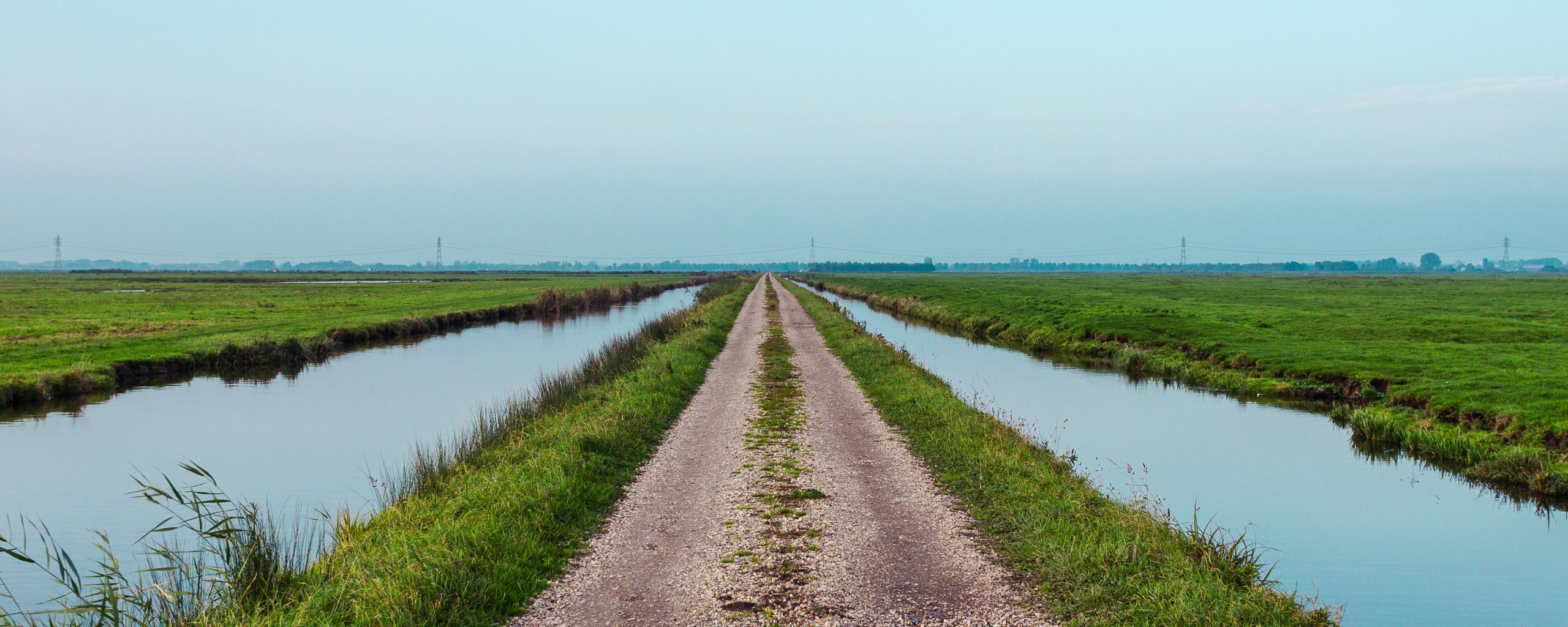 Landweg in de Hoeksche Waard met aan weerszijden een sloot en weilanden