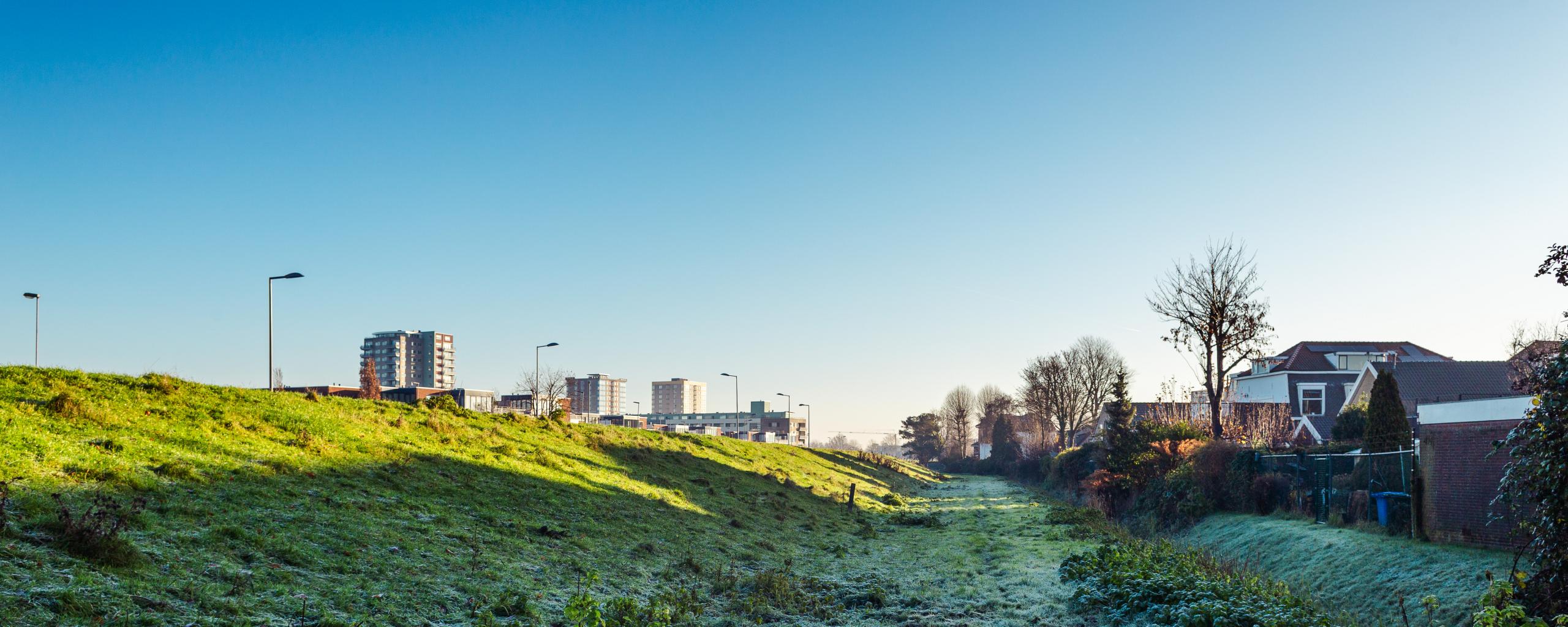 Oostdijk in oud-IJsselmonde met rijp op het gras