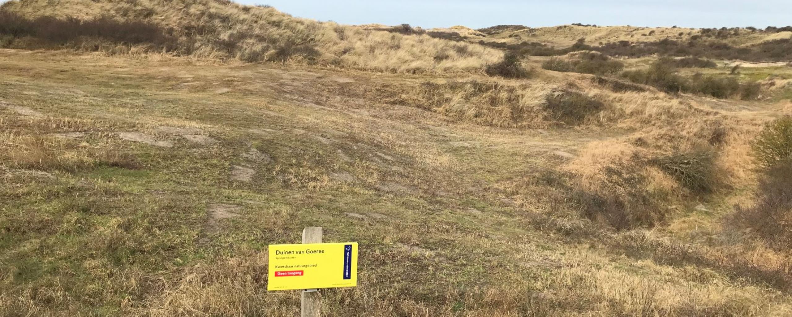 Natuurgebied Springertduinen