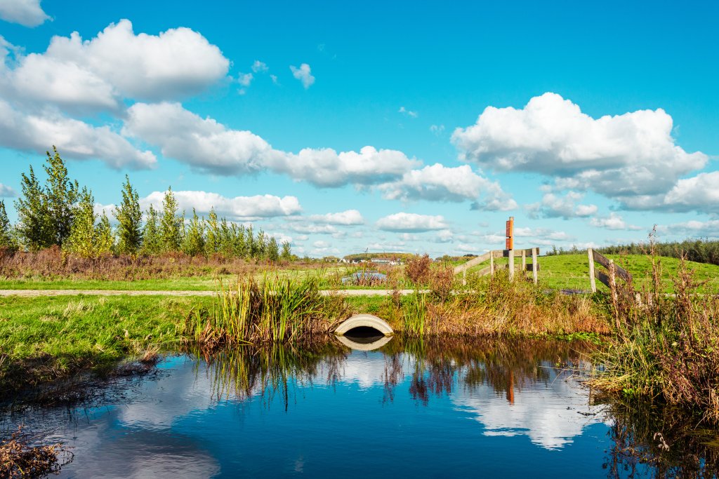 Waterberging Waalbos in Ridderkerk. Op de voorgrond water waarin de weerspiegeling van enkele schapenwolken te zien is.