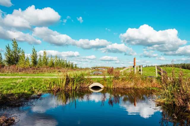 Waterberging Waalbos in Ridderkerk. Op de voorgrond water waarin de weerspiegeling van enkele schapenwolken te zien is.