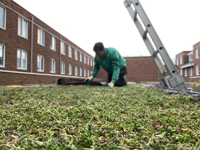 Man legt groen dak aan in Rotterdam
