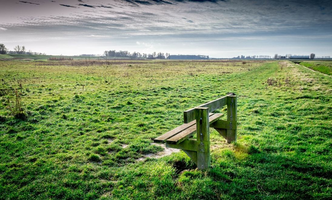 Bankje in de polder