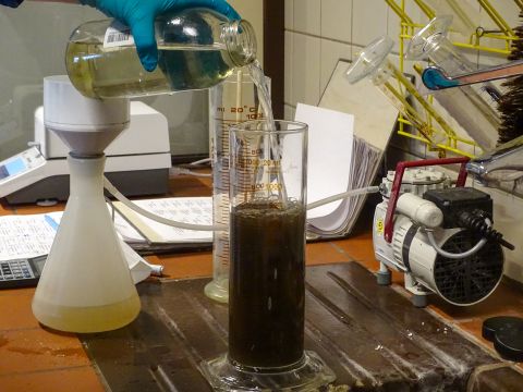 Hier wordt een monster genomen van de bodem