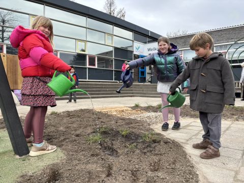 kinderen gieten water op een schoolplein