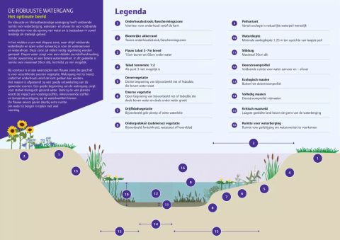 Infographic robuuste watergang